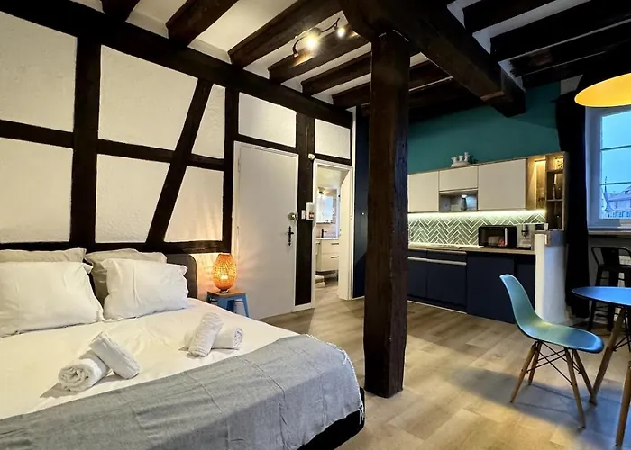 Les Suites Schwendi En Hypercentre