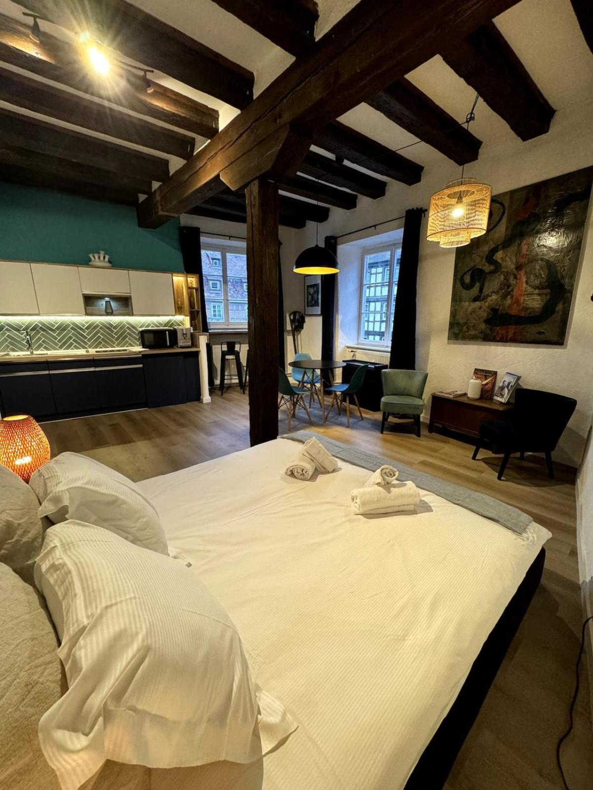 Les Suites Schwendi En Hypercentre Appartement *