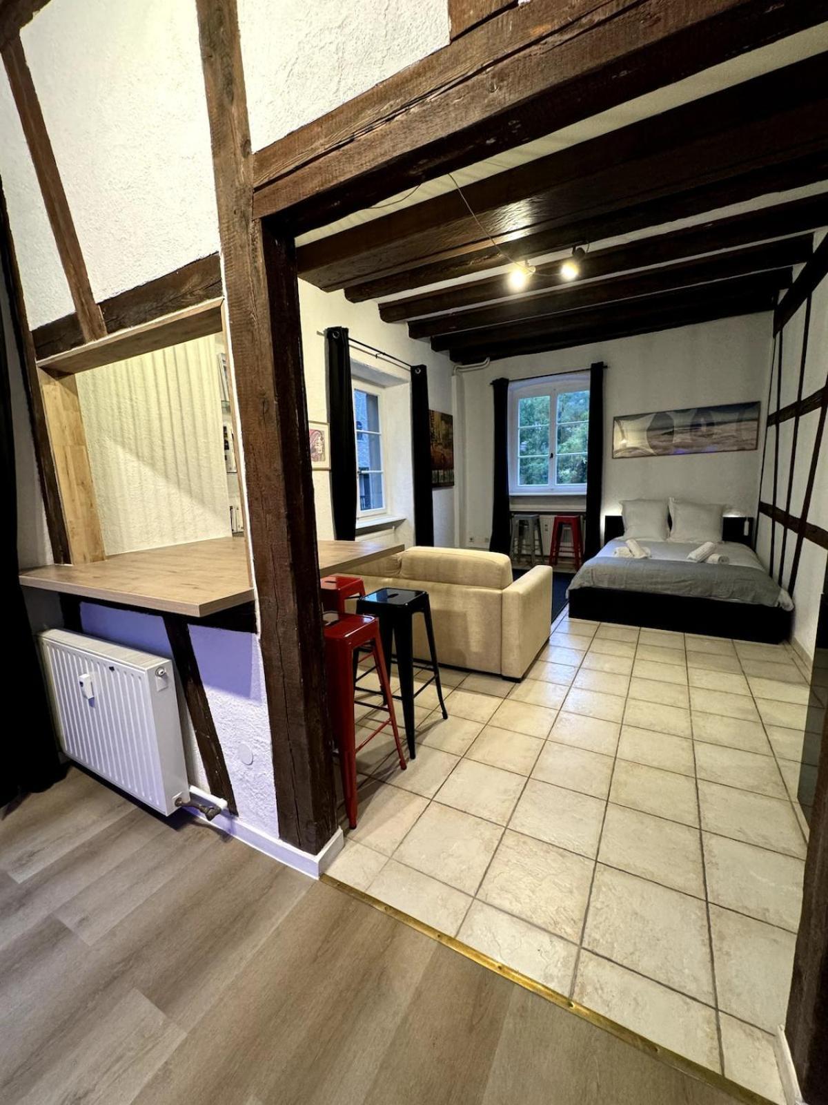 Appartement Les Suites Schwendi En Hypercentre *