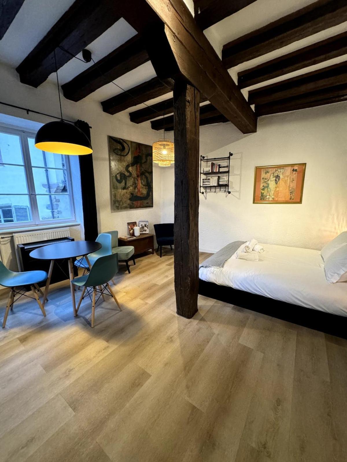 Les Suites Schwendi En Hypercentre *