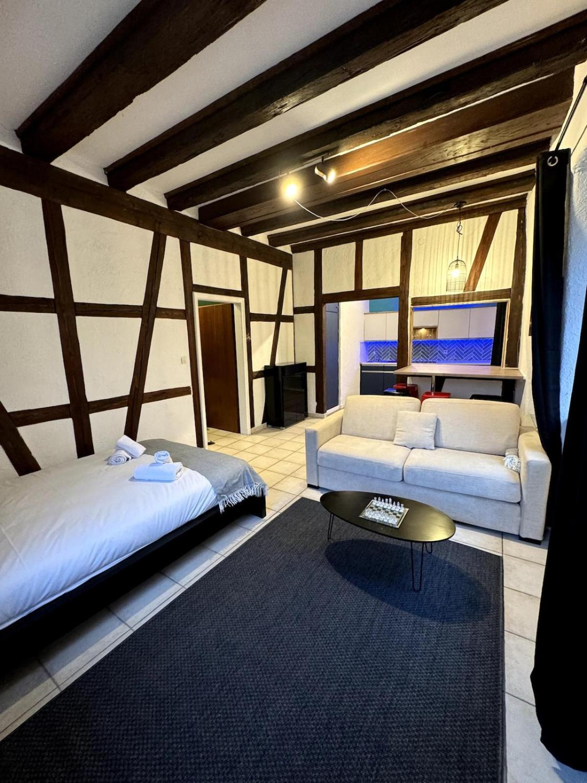 Les Suites Schwendi En Hypercentre Appartement *