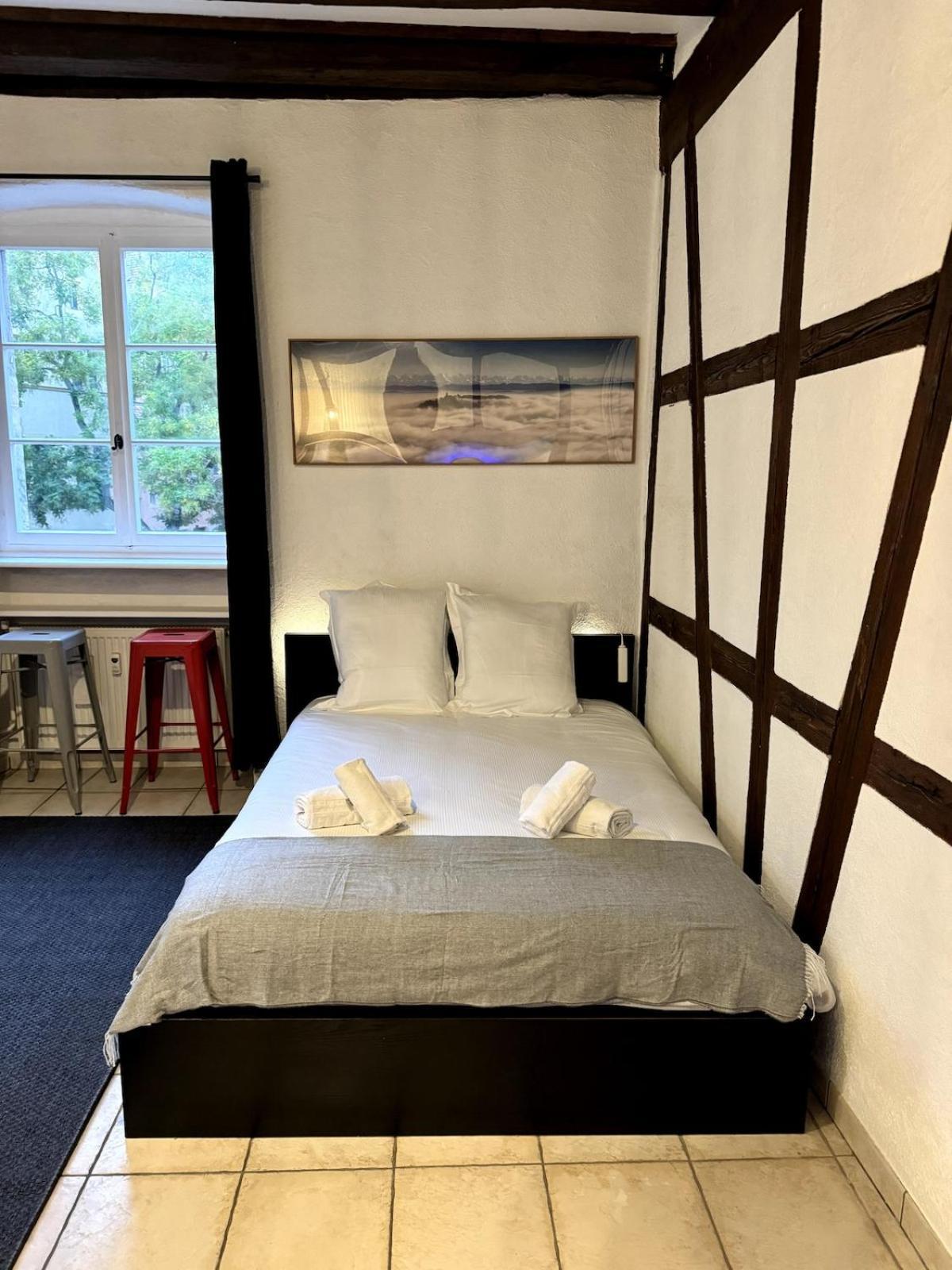 Appartement Les Suites Schwendi En Hypercentre *